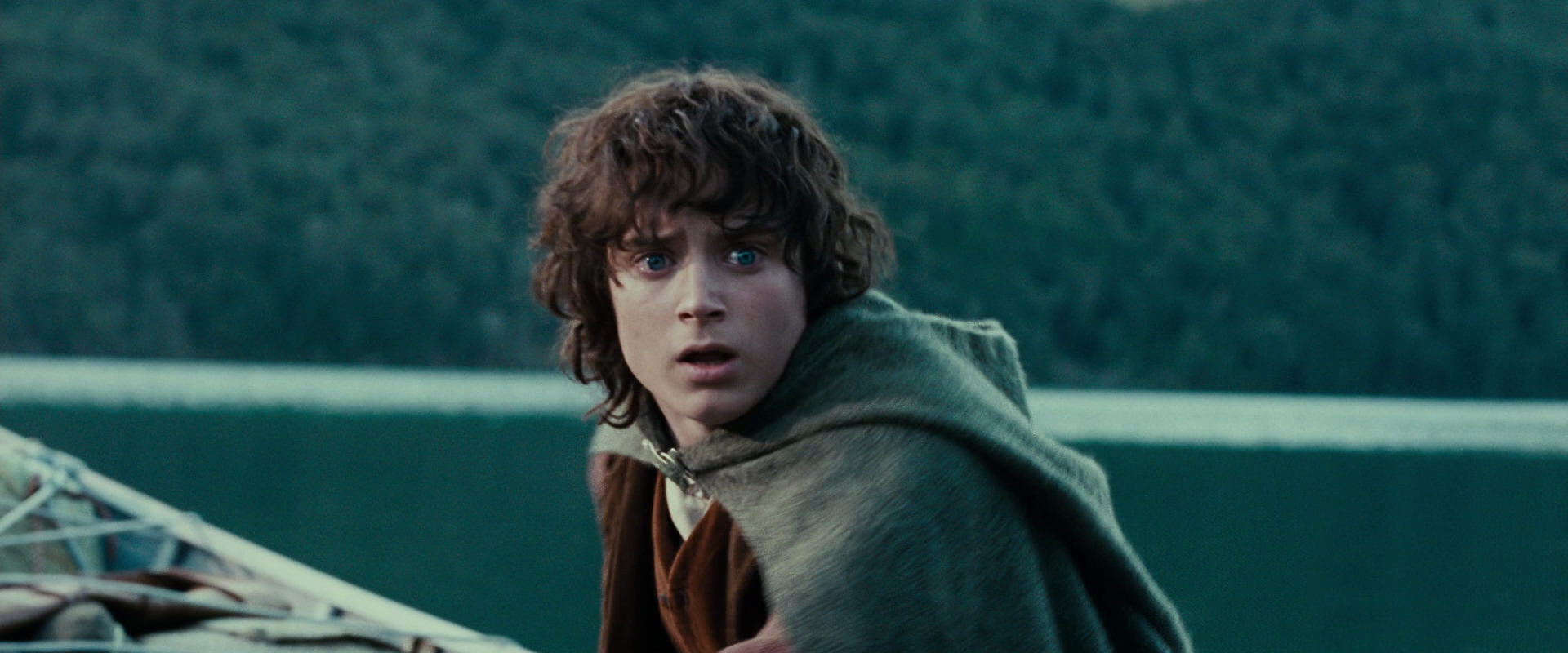 The Lord of the Rings: The Fellowship of the Ring (2001) screencap 23316