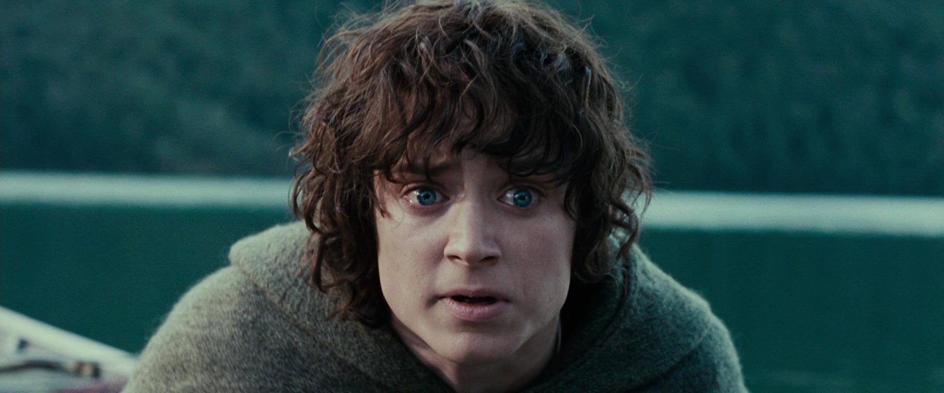 The Lord of the Rings: The Fellowship of the Ring (2001) screencap 23319