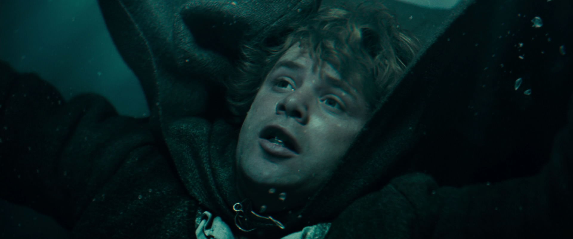 The Lord of the Rings: The Fellowship of the Ring (2001) screencap 23331