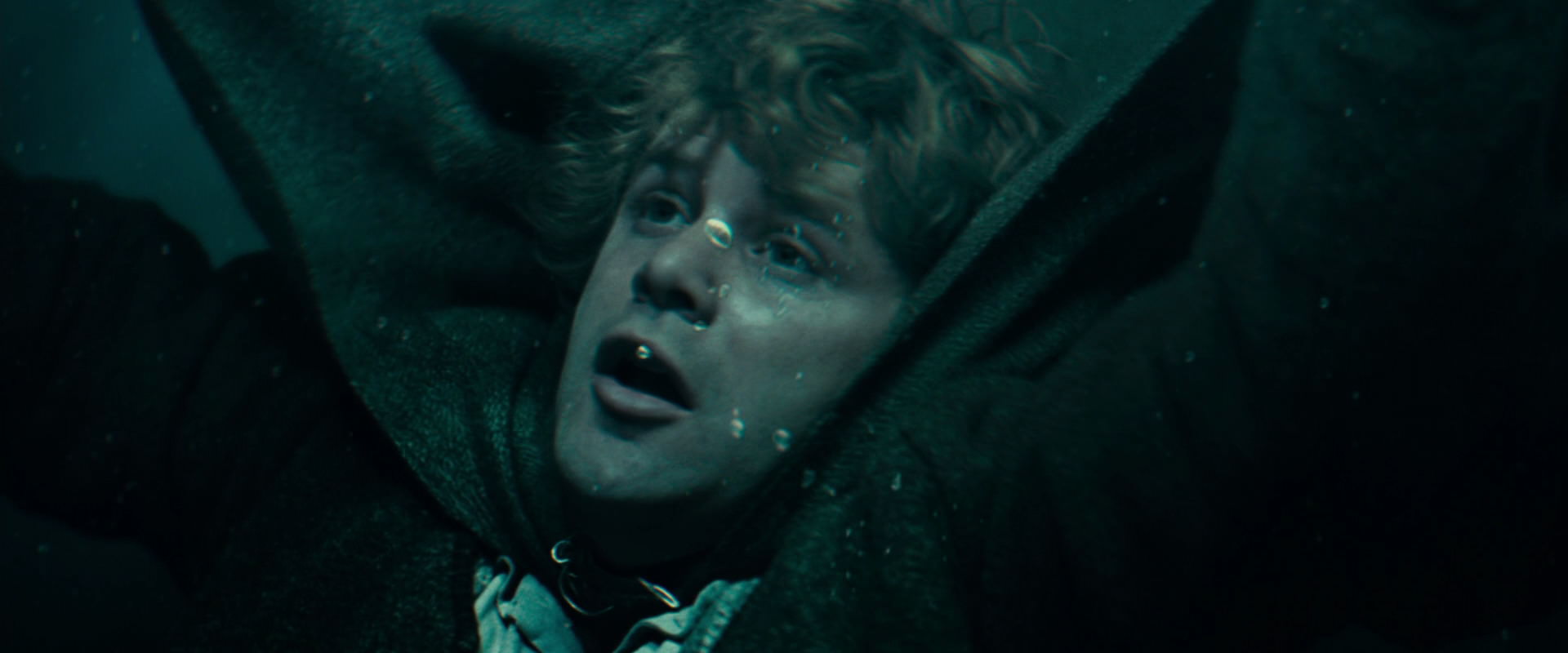 The Lord of the Rings: The Fellowship of the Ring (2001) movie still 23332