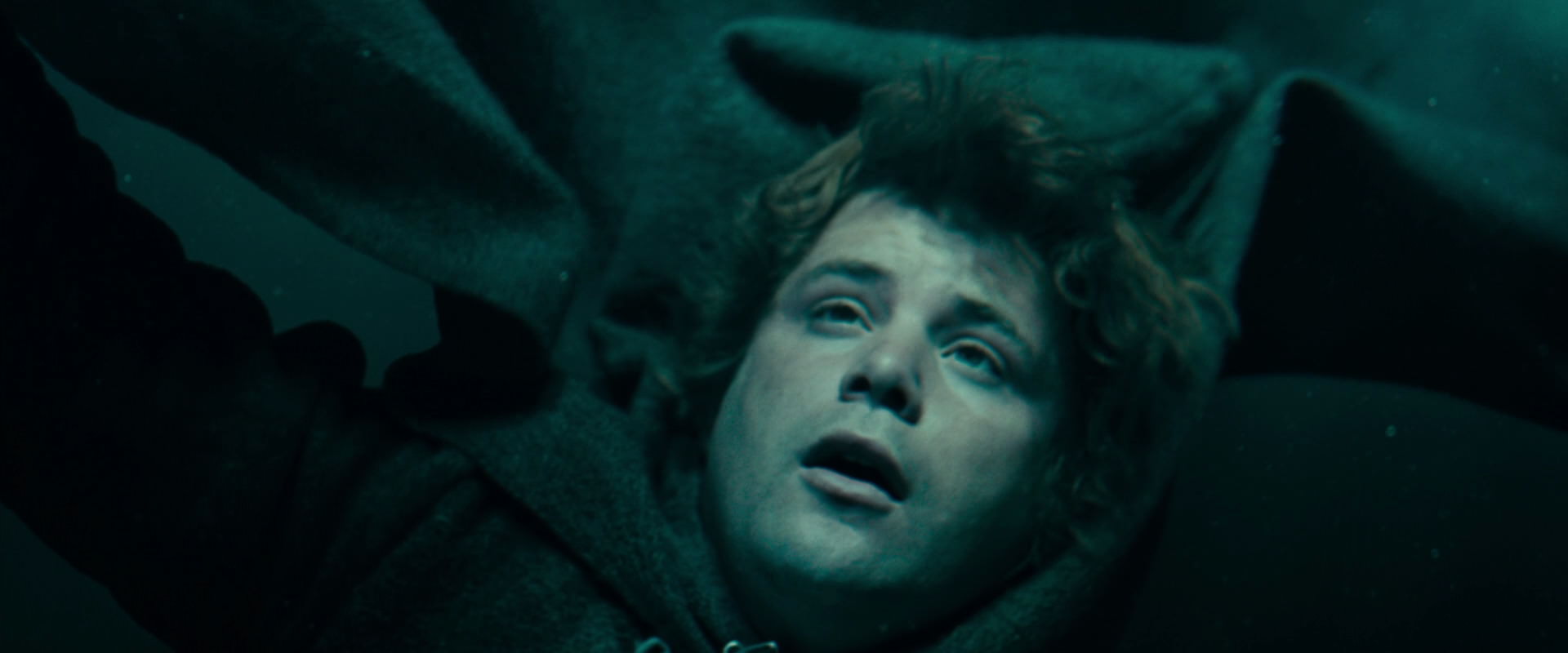 The Lord of the Rings: The Fellowship of the Ring (2001) movie still 23350