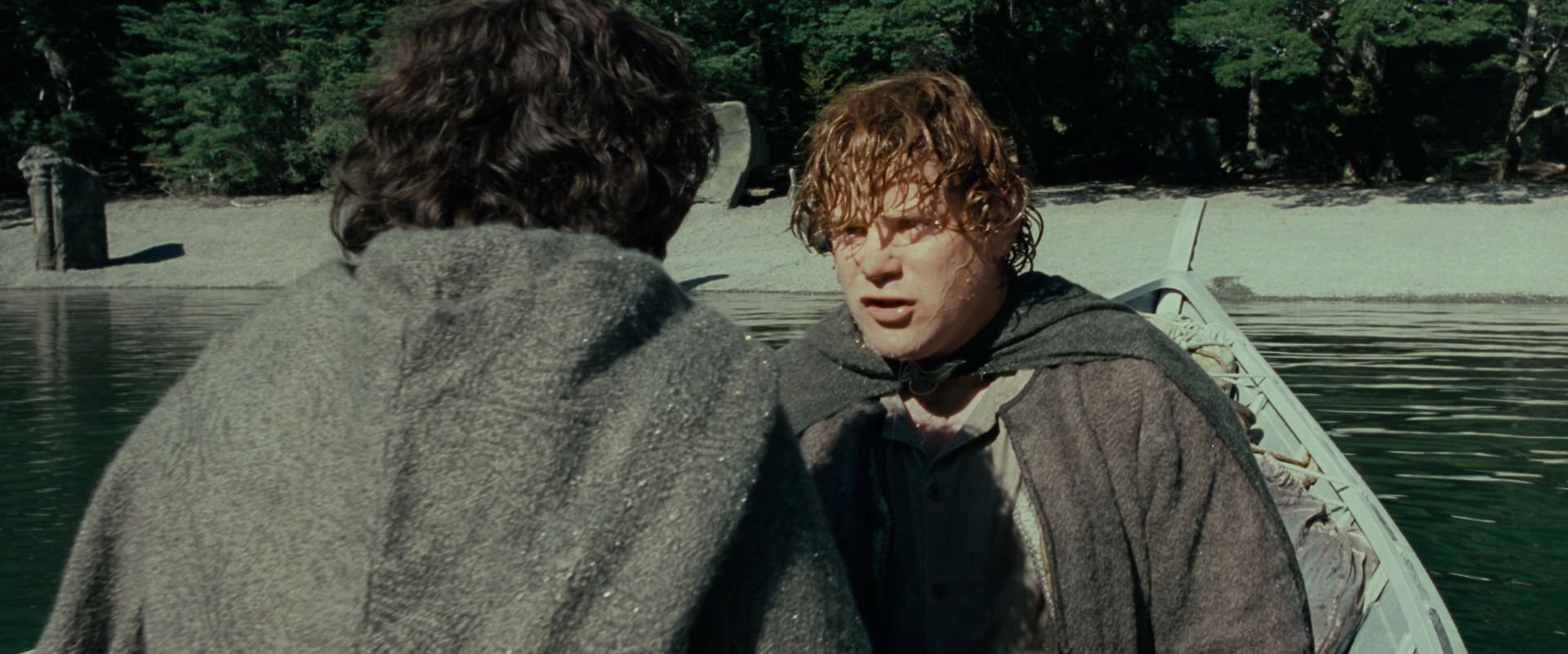 The Lord of the Rings: The Fellowship of the Ring (2001) HD screenshot 23411