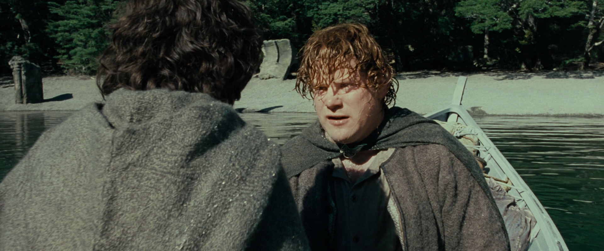 The Lord of the Rings: The Fellowship of the Ring (2001) screencap 23412