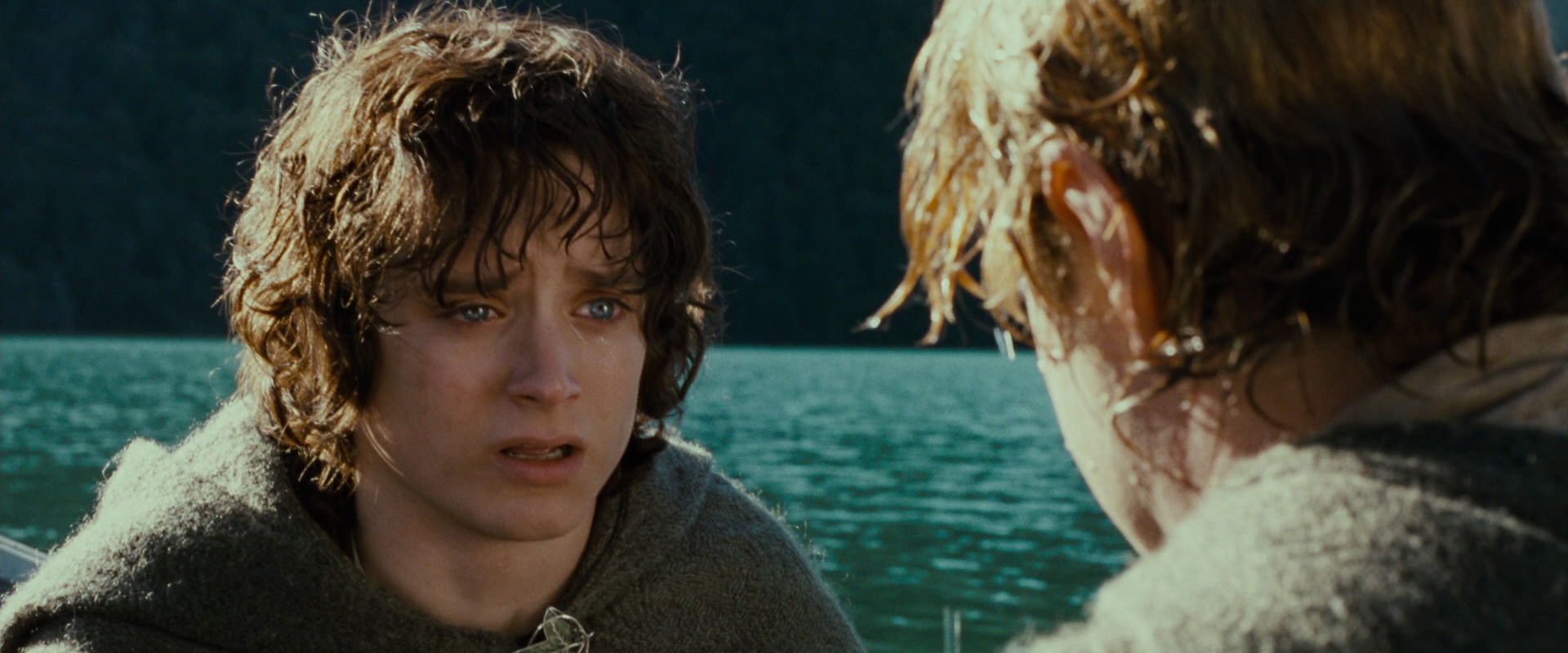 The Lord of the Rings: The Fellowship of the Ring (2001) screencap 23418