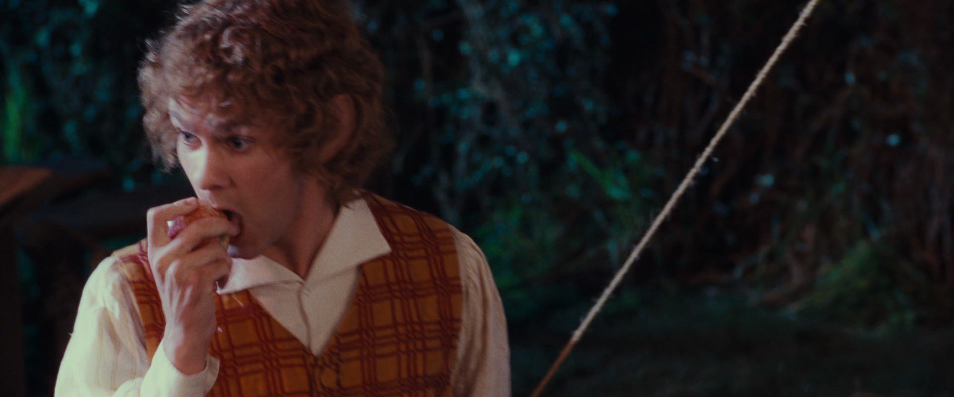 The Lord of the Rings: The Fellowship of the Ring (2001) HD screenshot 2342
