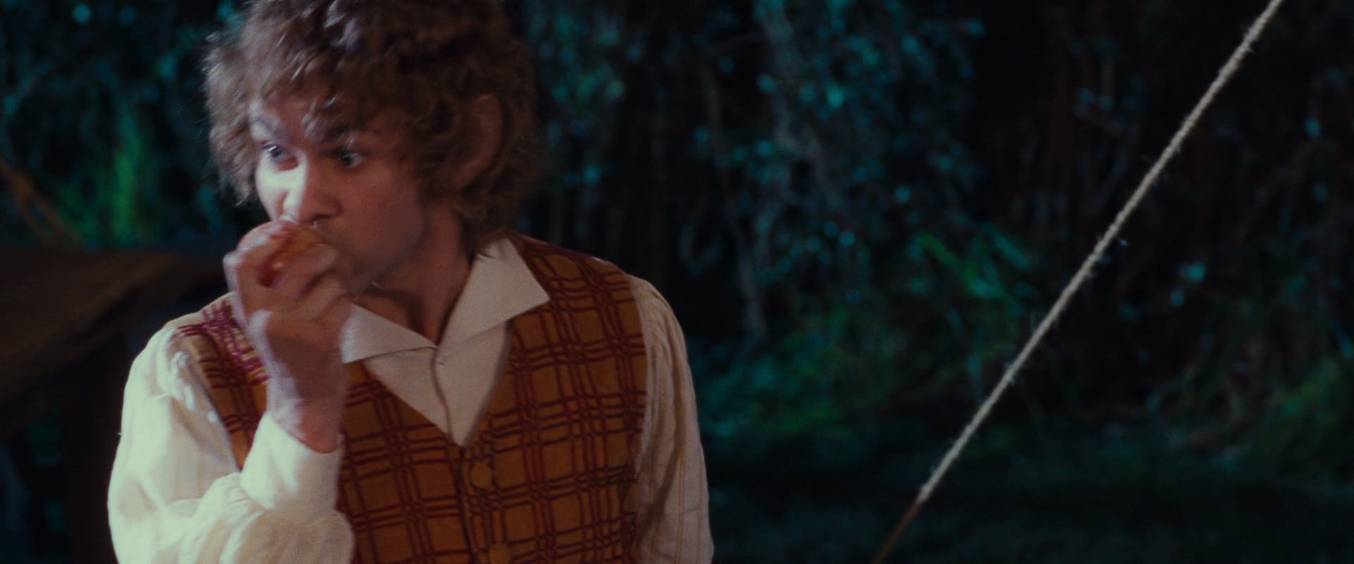 The Lord of the Rings: The Fellowship of the Ring (2001) screencap 2343