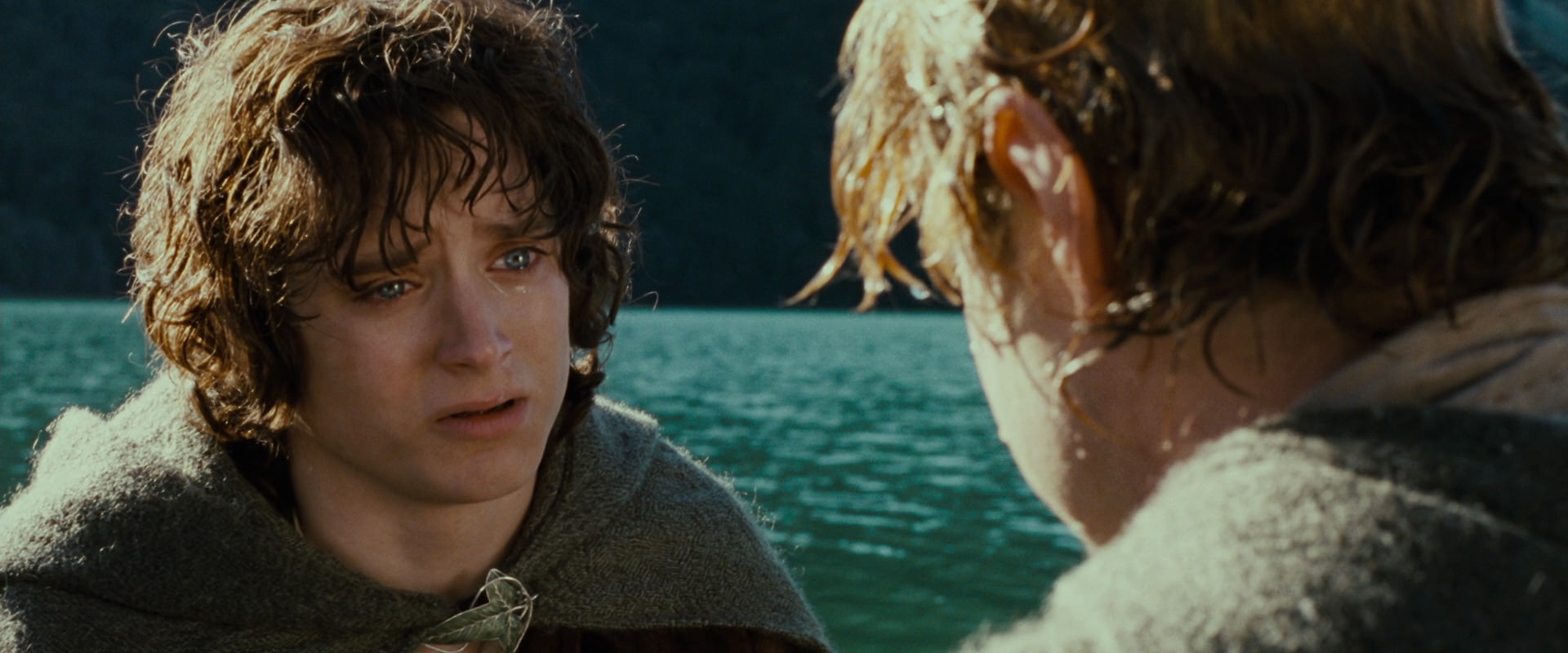 The Lord of the Rings: The Fellowship of the Ring (2001) screencap 23430