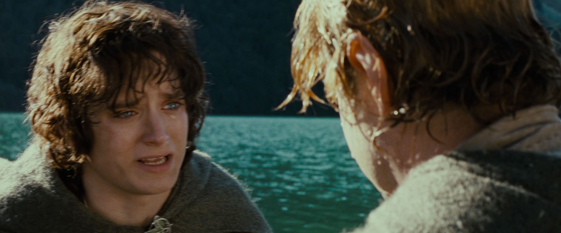 The Lord of the Rings: The Fellowship of the Ring (2001) screencap 23433