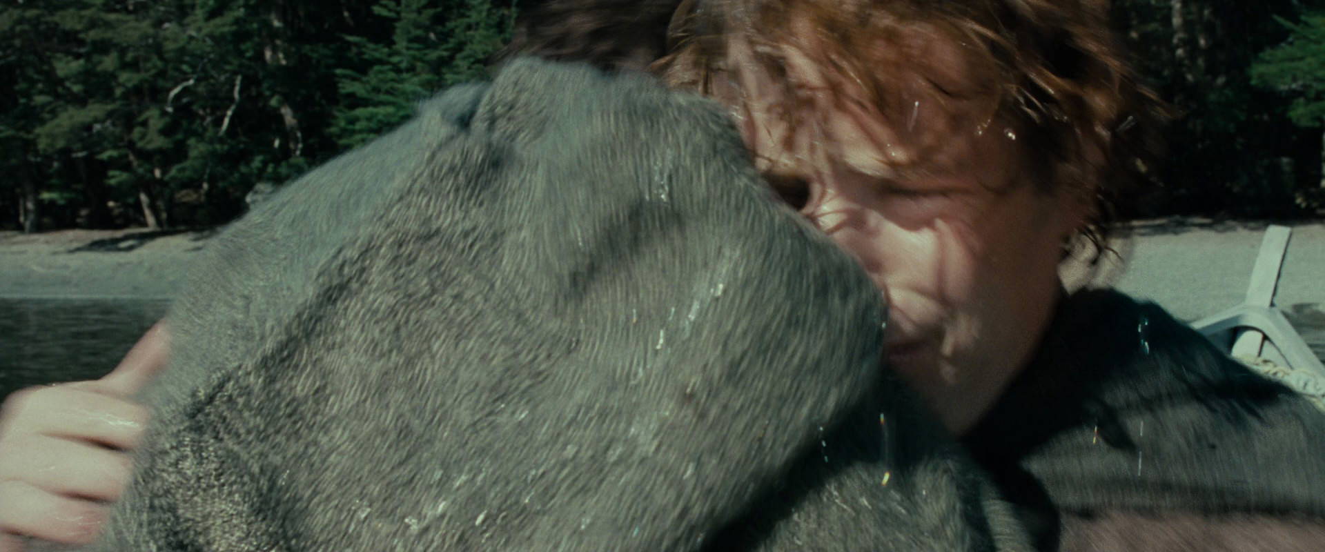 The Lord of the Rings: The Fellowship of the Ring (2001) screencap 23436
