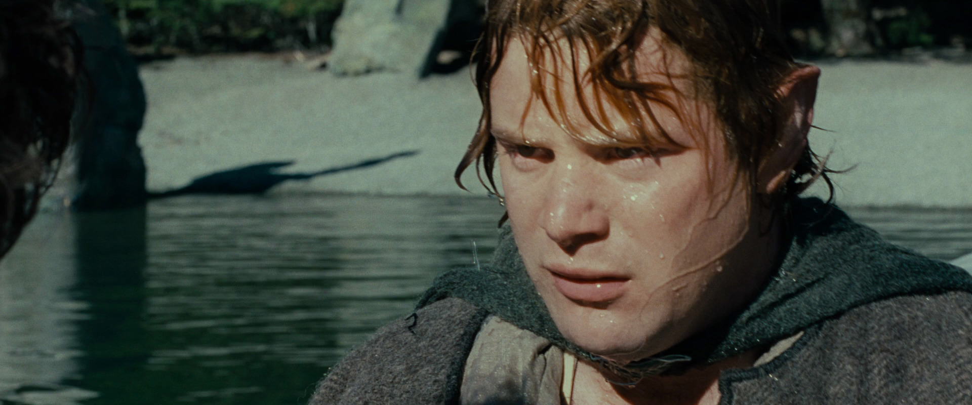 The Lord of the Rings: The Fellowship of the Ring (2001) movie still 23461