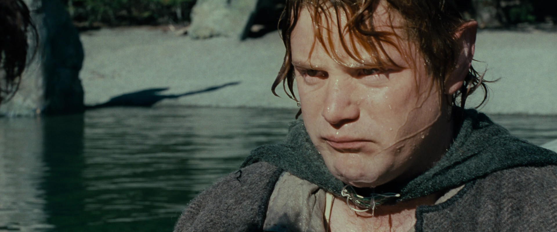The Lord of the Rings: The Fellowship of the Ring (2001) HD screenshot 23462