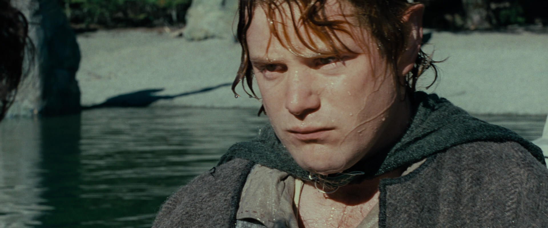 The Lord of the Rings: The Fellowship of the Ring (2001) screencap 23463