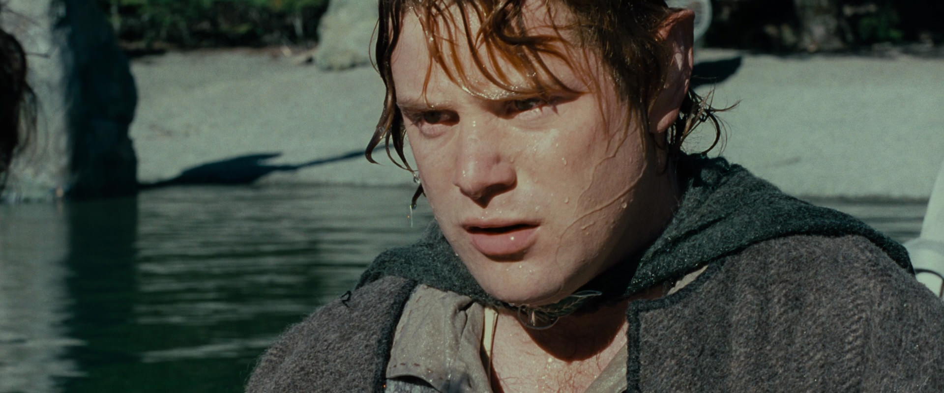 The Lord of the Rings: The Fellowship of the Ring (2001) movie still 23464