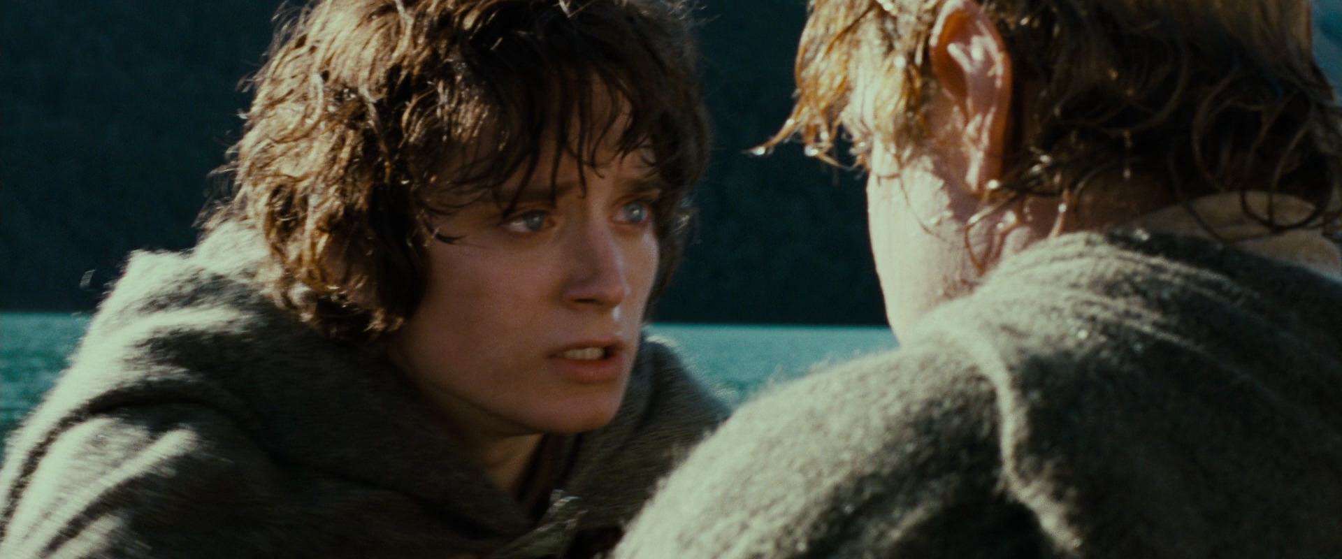 The Lord of the Rings: The Fellowship of the Ring (2001) HD screenshot 23468