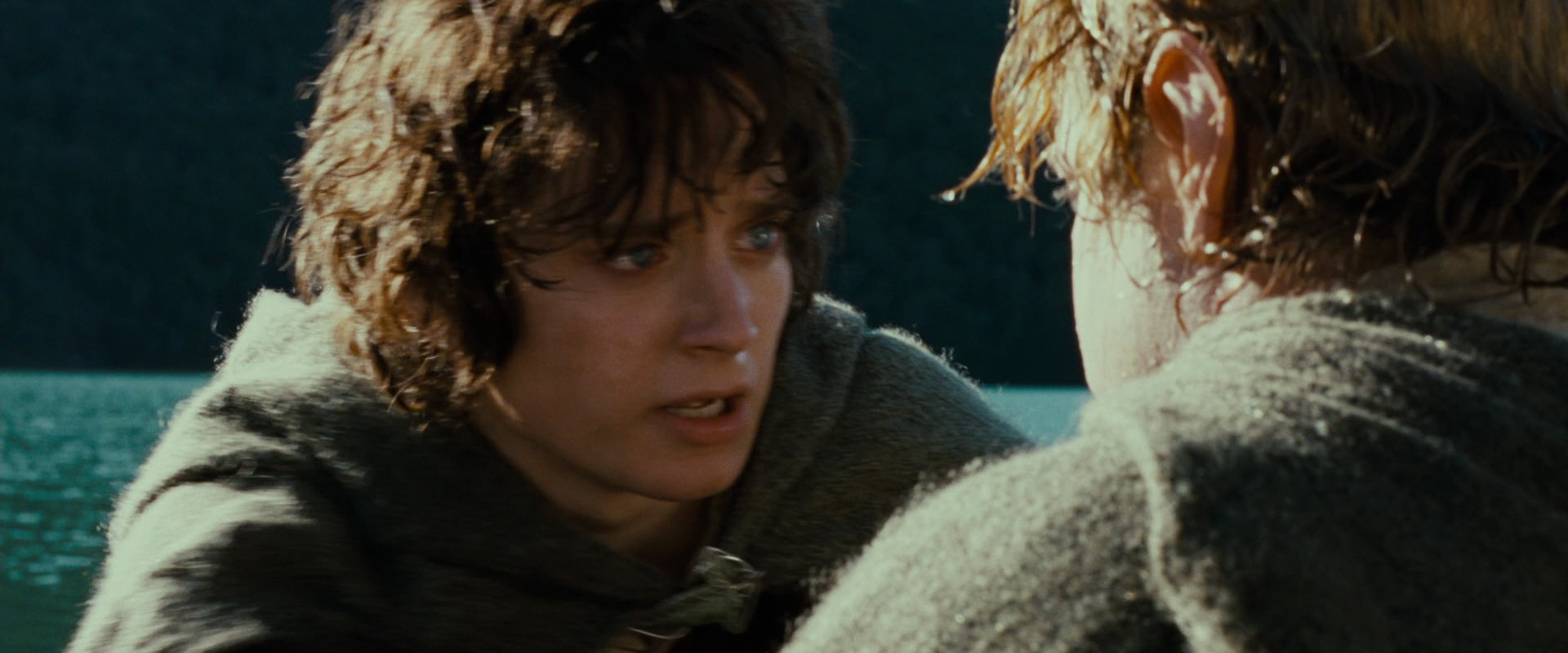 The Lord of the Rings: The Fellowship of the Ring (2001) screencap 23469