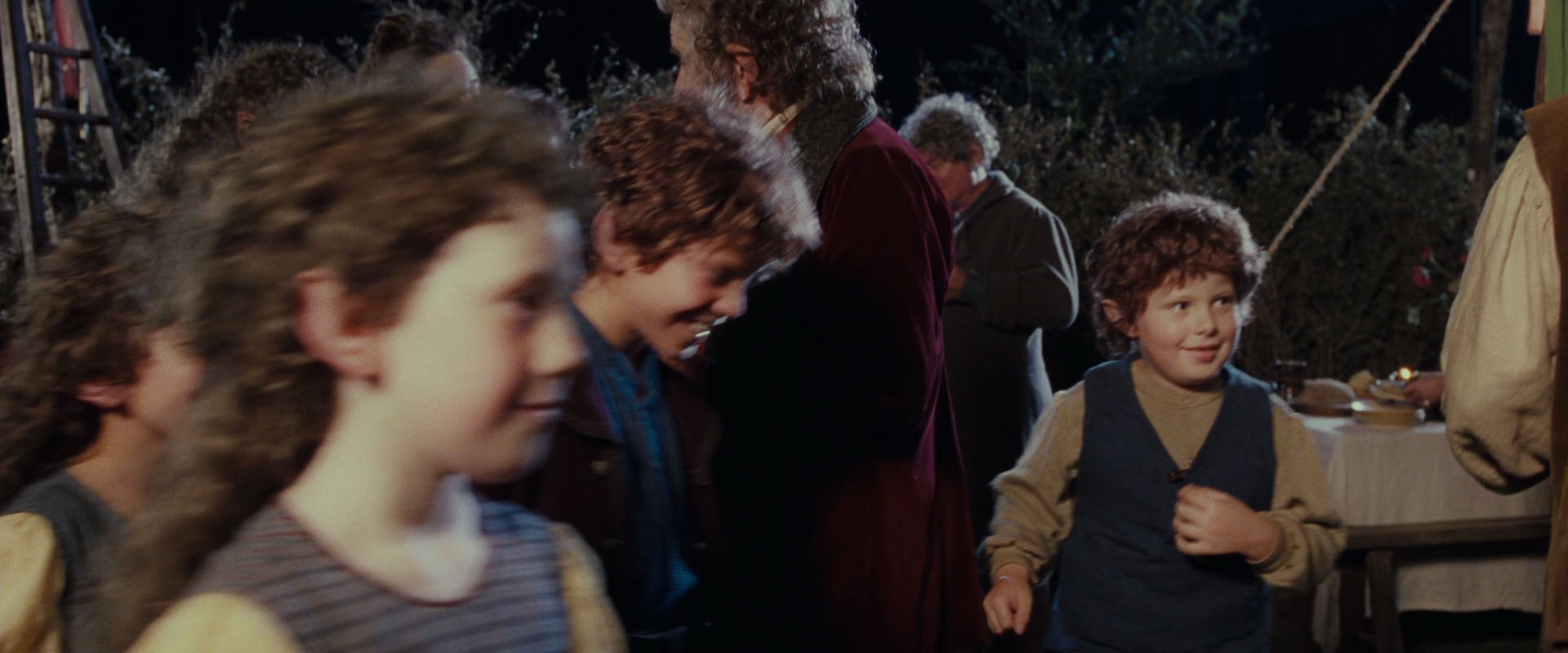 The Lord of the Rings: The Fellowship of the Ring (2001) screencap 2352