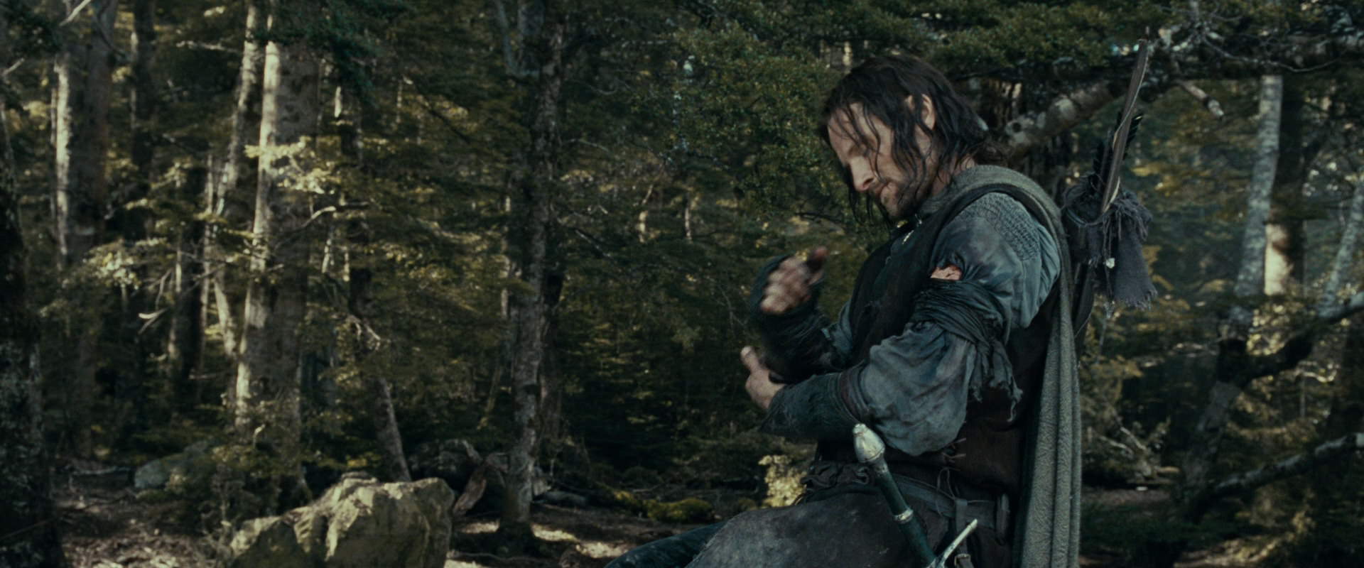 The Lord of the Rings: The Fellowship of the Ring (2001) HD screenshot 23540
