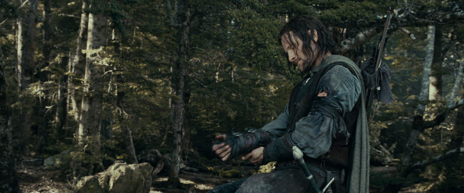 The Lord of the Rings: The Fellowship of the Ring (2001) screencap 23541