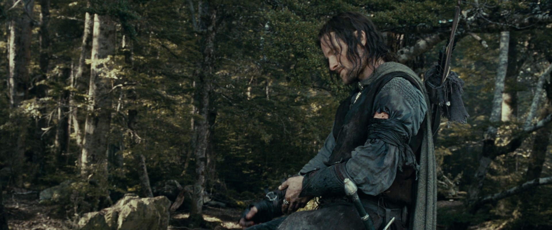 The Lord of the Rings: The Fellowship of the Ring (2001) HD screenshot 23543