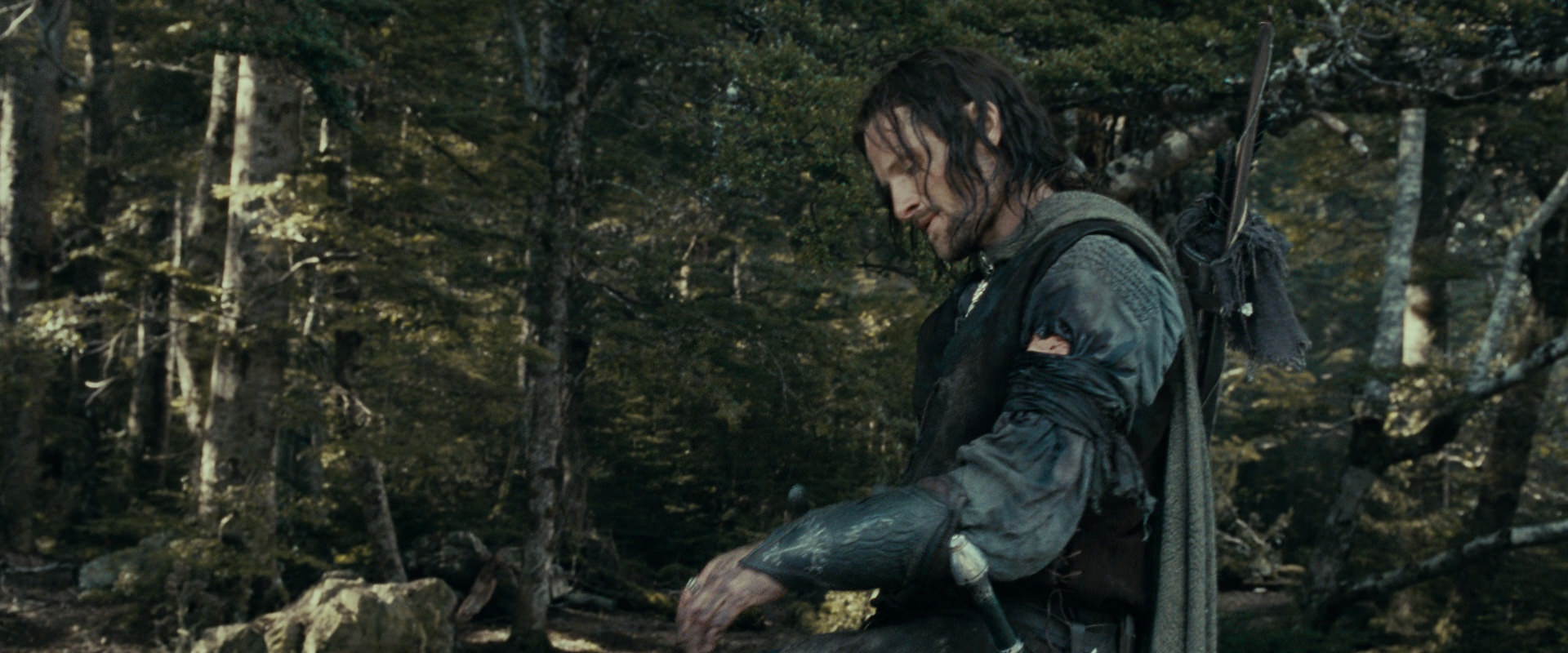 The Lord of the Rings: The Fellowship of the Ring (2001) screencap 23544