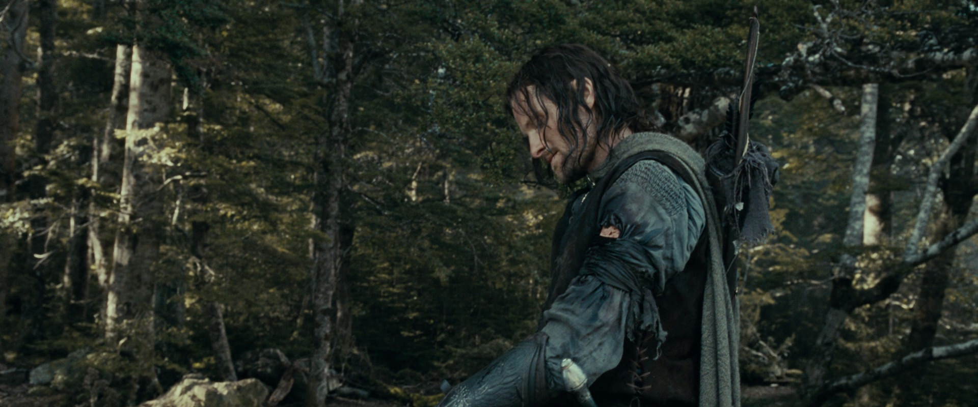 The Lord of the Rings: The Fellowship of the Ring (2001) movie still 23545
