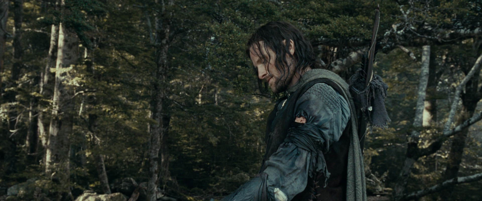 The Lord of the Rings: The Fellowship of the Ring (2001) HD screenshot 23546