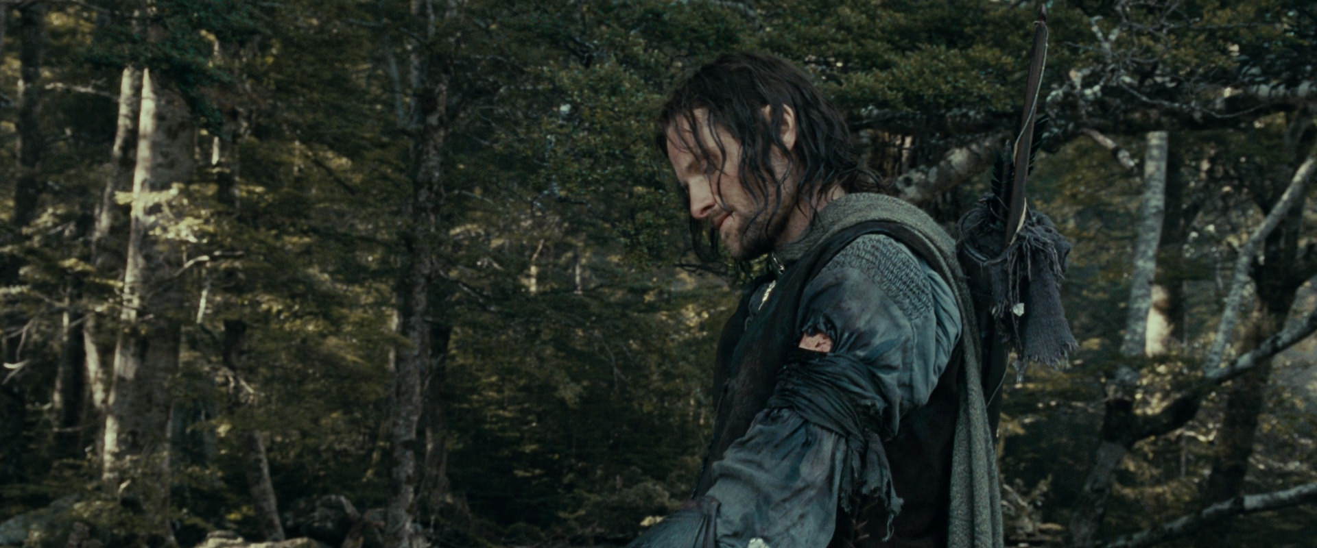 The Lord of the Rings: The Fellowship of the Ring (2001) screencap 23547