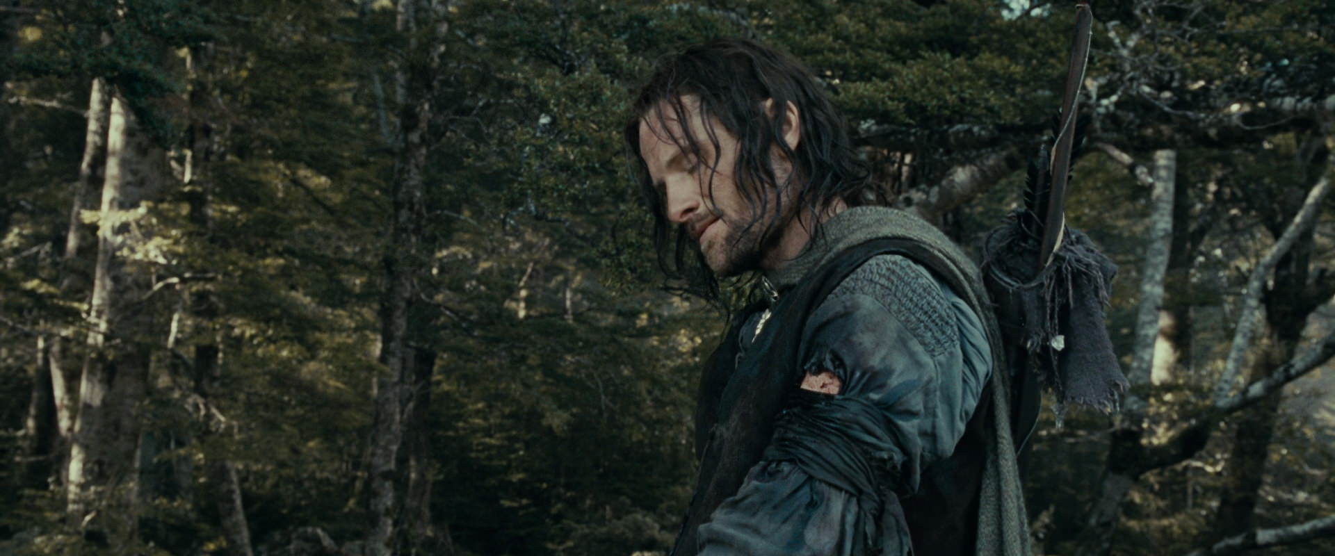 The Lord of the Rings: The Fellowship of the Ring (2001) HD screenshot 23549