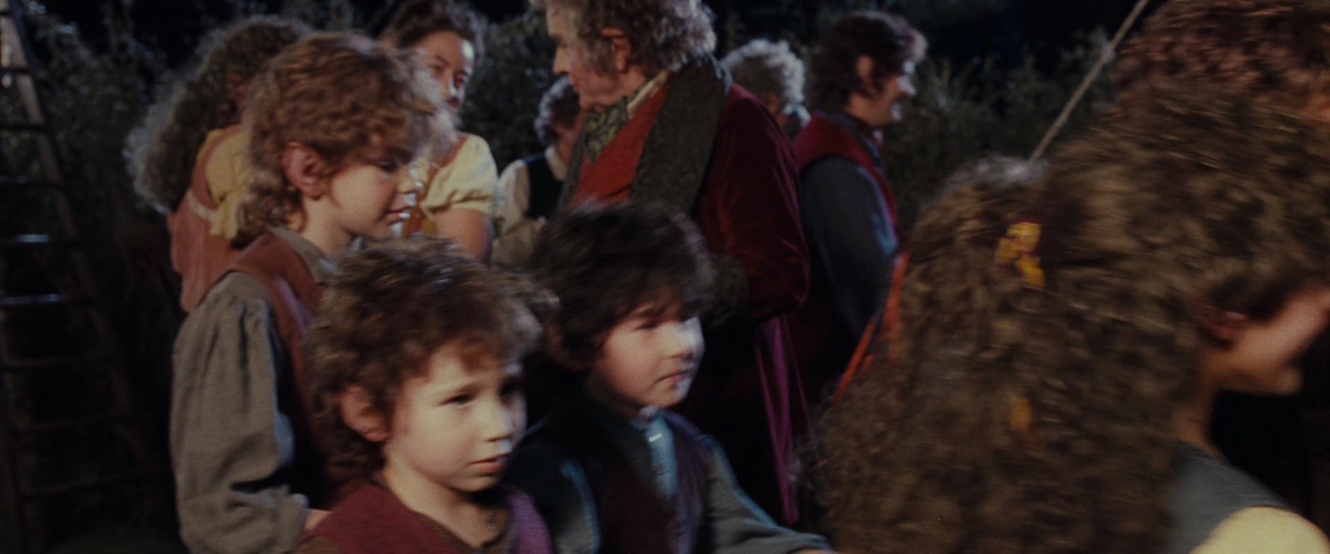 The Lord of the Rings: The Fellowship of the Ring (2001) screencap 2355