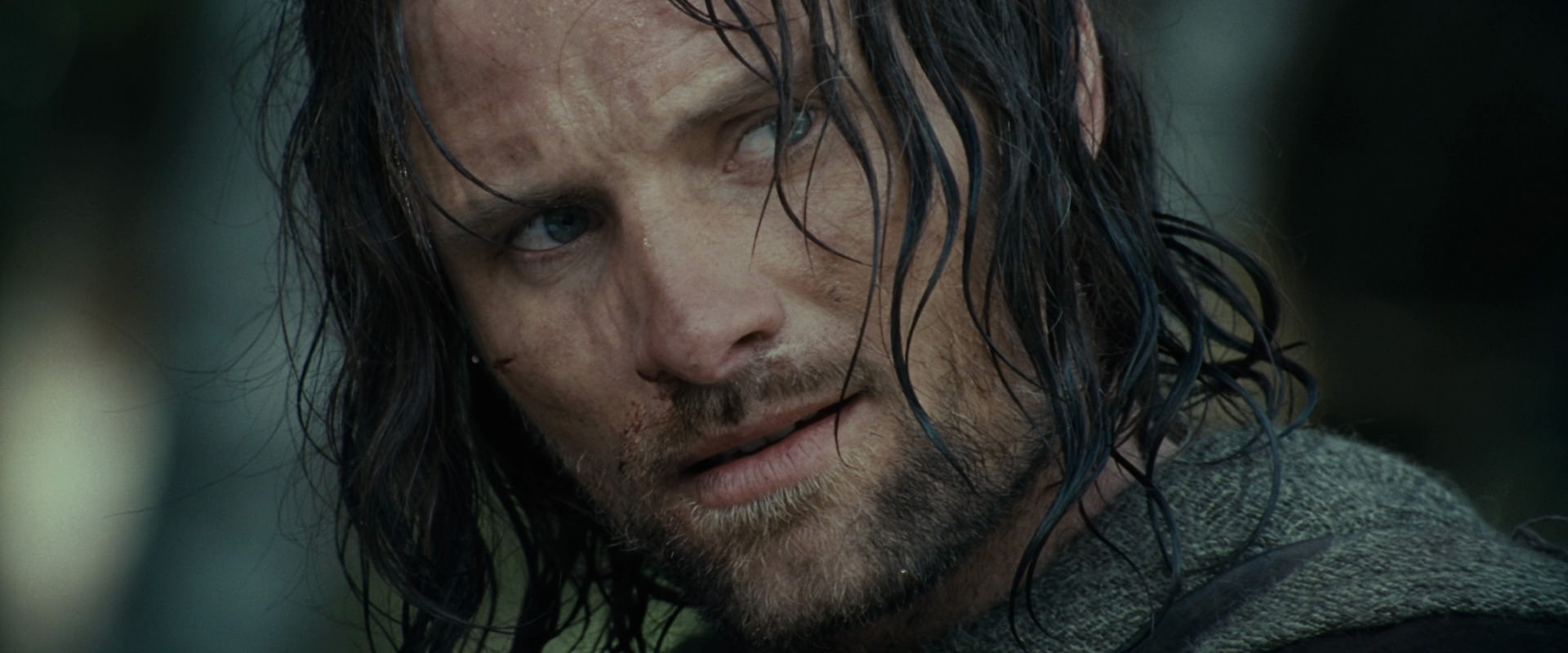 The Lord of the Rings: The Fellowship of the Ring (2001) screencap 23553