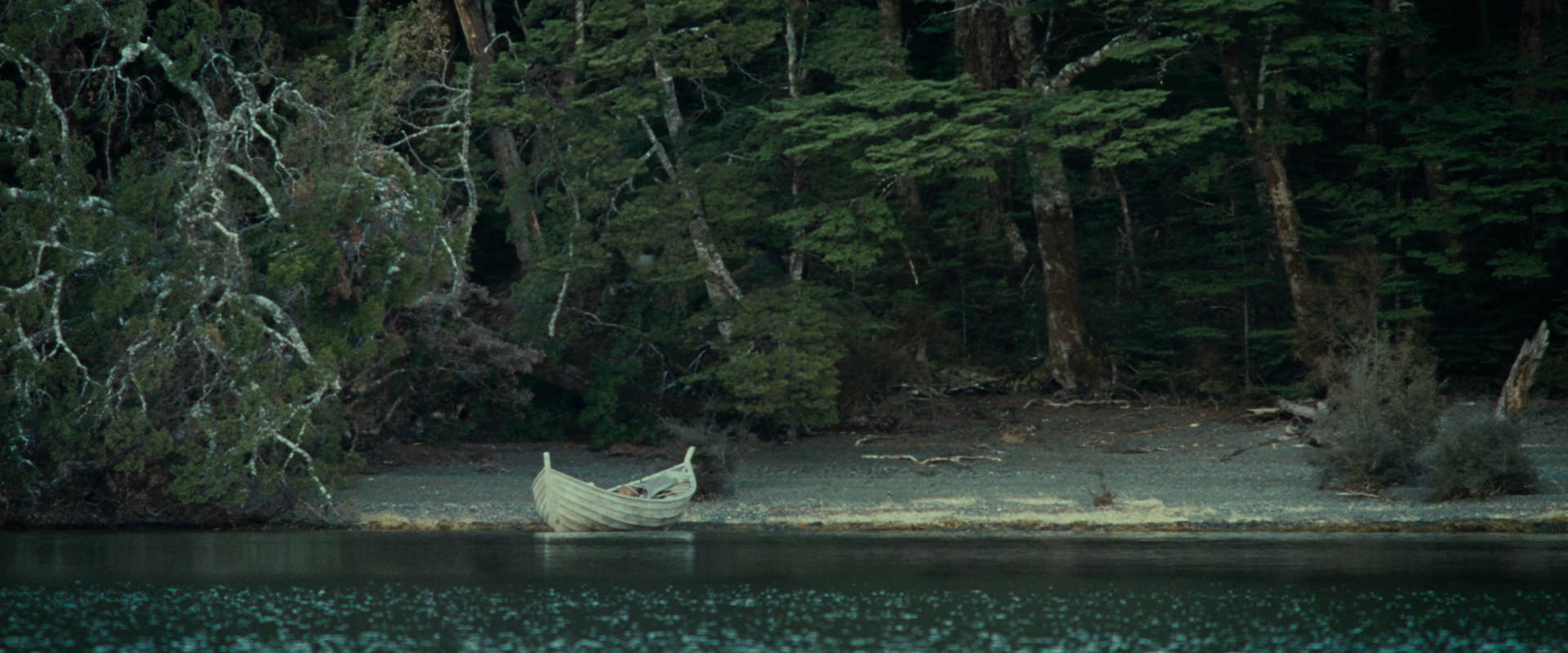 The Lord of the Rings: The Fellowship of the Ring (2001) HD screenshot 23555