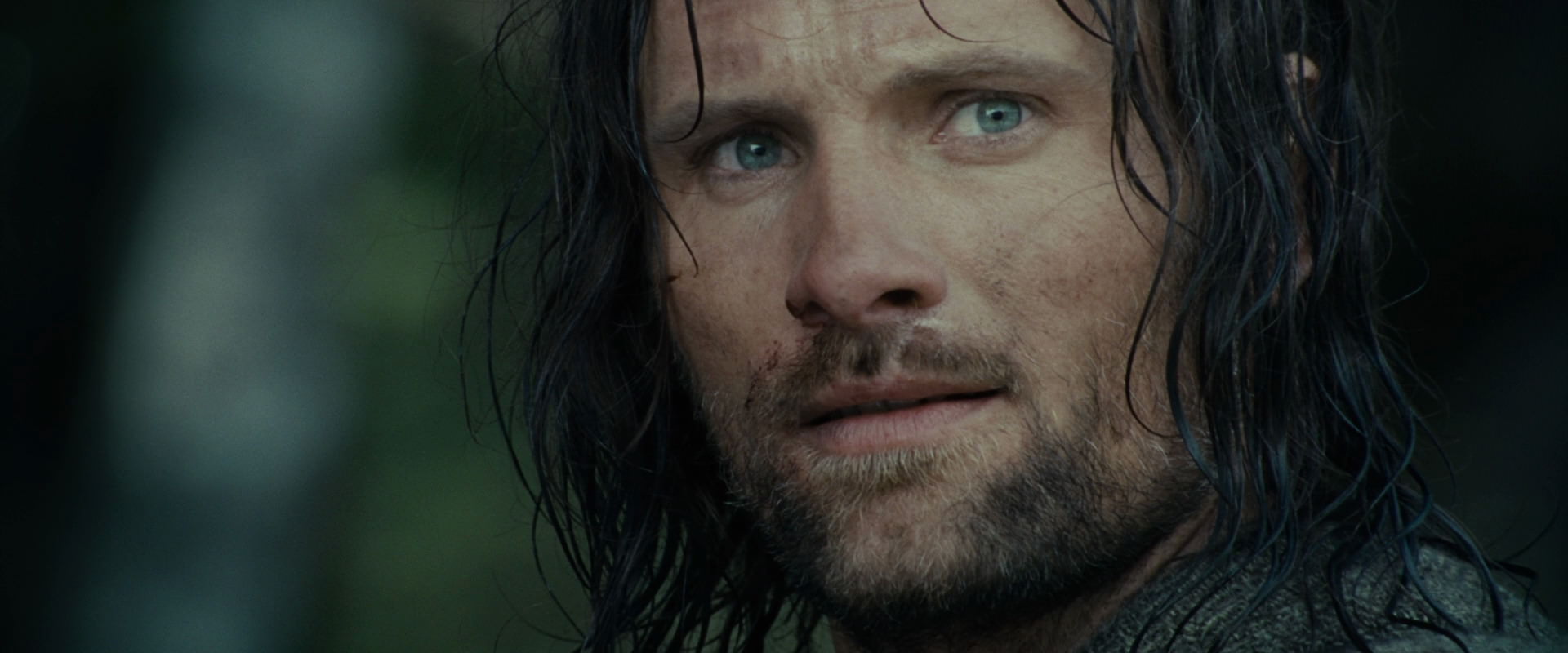 The Lord of the Rings: The Fellowship of the Ring (2001) HD screenshot 23561