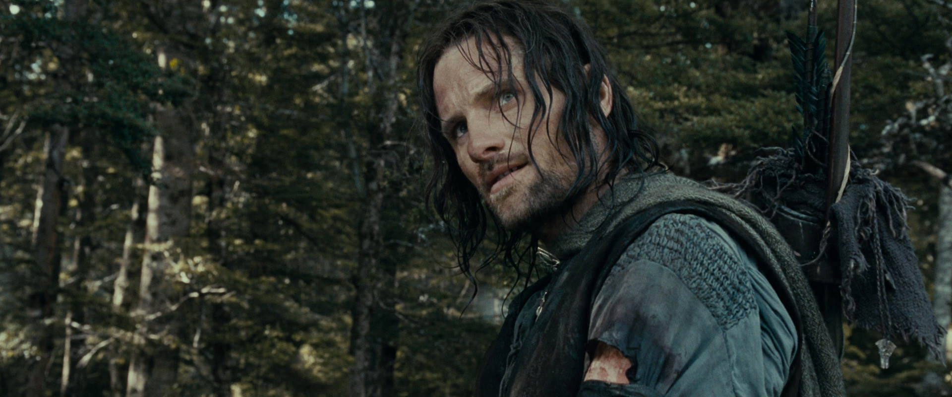The Lord of the Rings: The Fellowship of the Ring (2001) screencap 23568