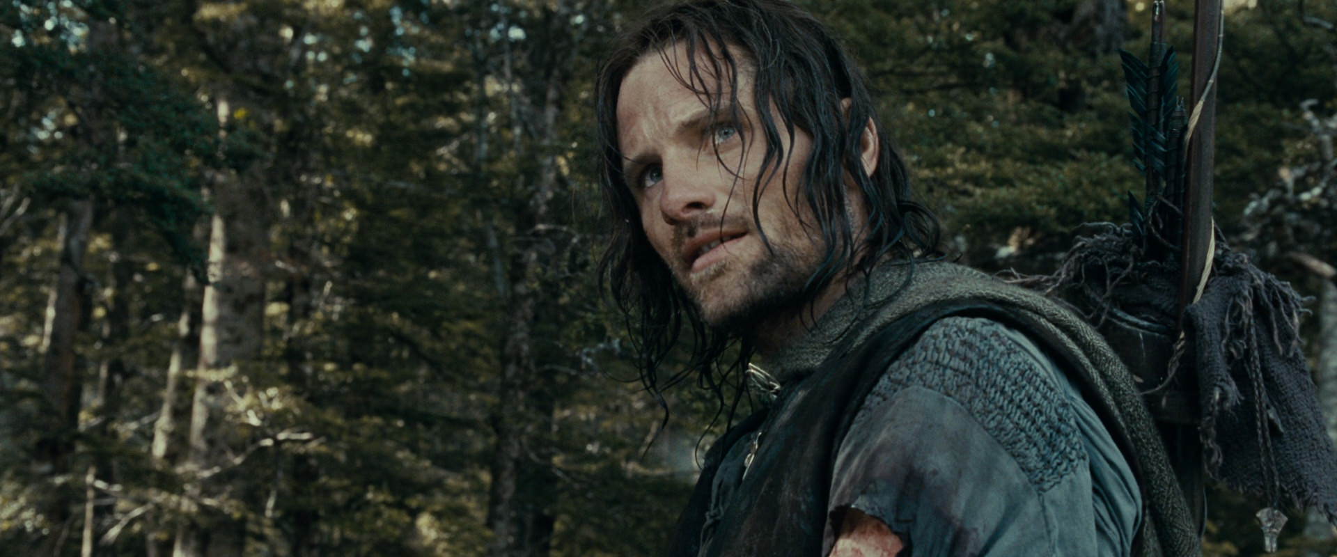 The Lord of the Rings: The Fellowship of the Ring (2001) HD screenshot 23570