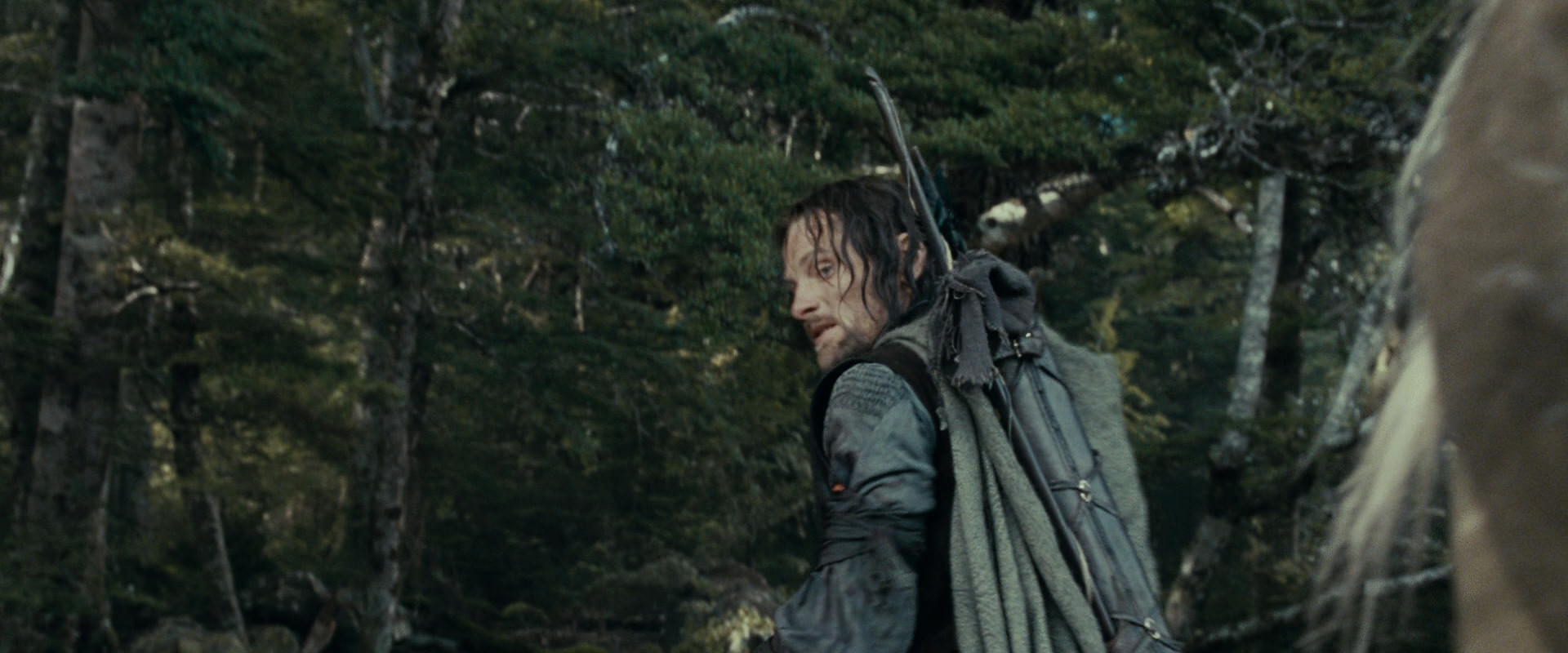 The Lord of the Rings: The Fellowship of the Ring (2001) movie still 23641