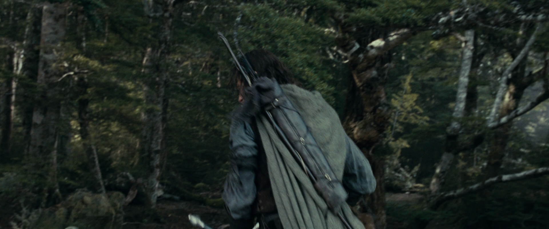 The Lord of the Rings: The Fellowship of the Ring (2001) HD screenshot 23642