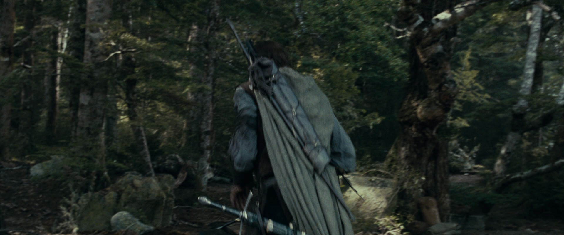 The Lord of the Rings: The Fellowship of the Ring (2001) screencap 23643