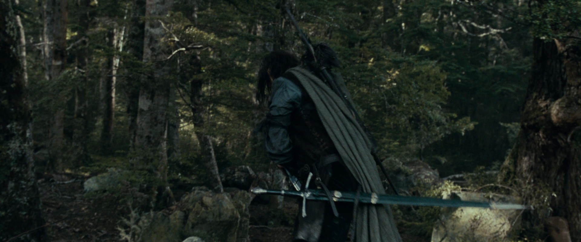 The Lord of the Rings: The Fellowship of the Ring (2001) screencap 23646