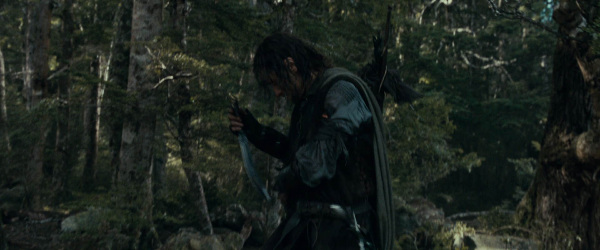 The Lord of the Rings: The Fellowship of the Ring (2001) movie still 23647