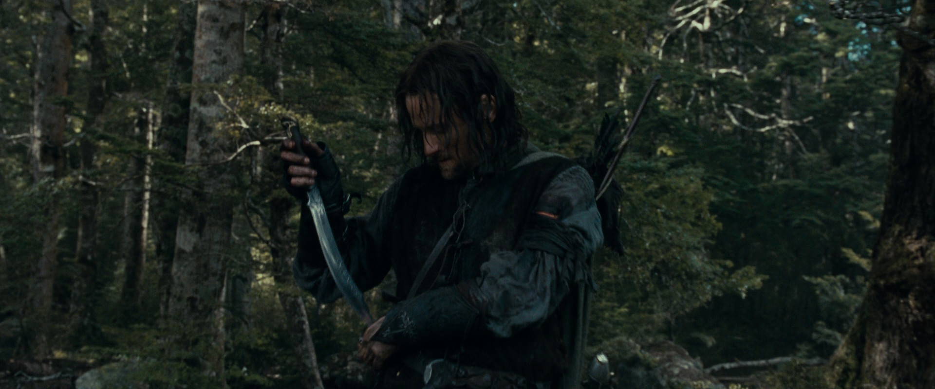The Lord of the Rings: The Fellowship of the Ring (2001) HD screenshot 23648
