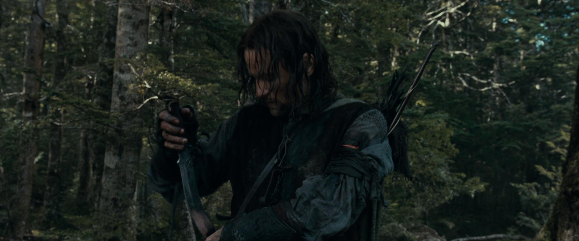 The Lord of the Rings: The Fellowship of the Ring (2001) screencap 23649