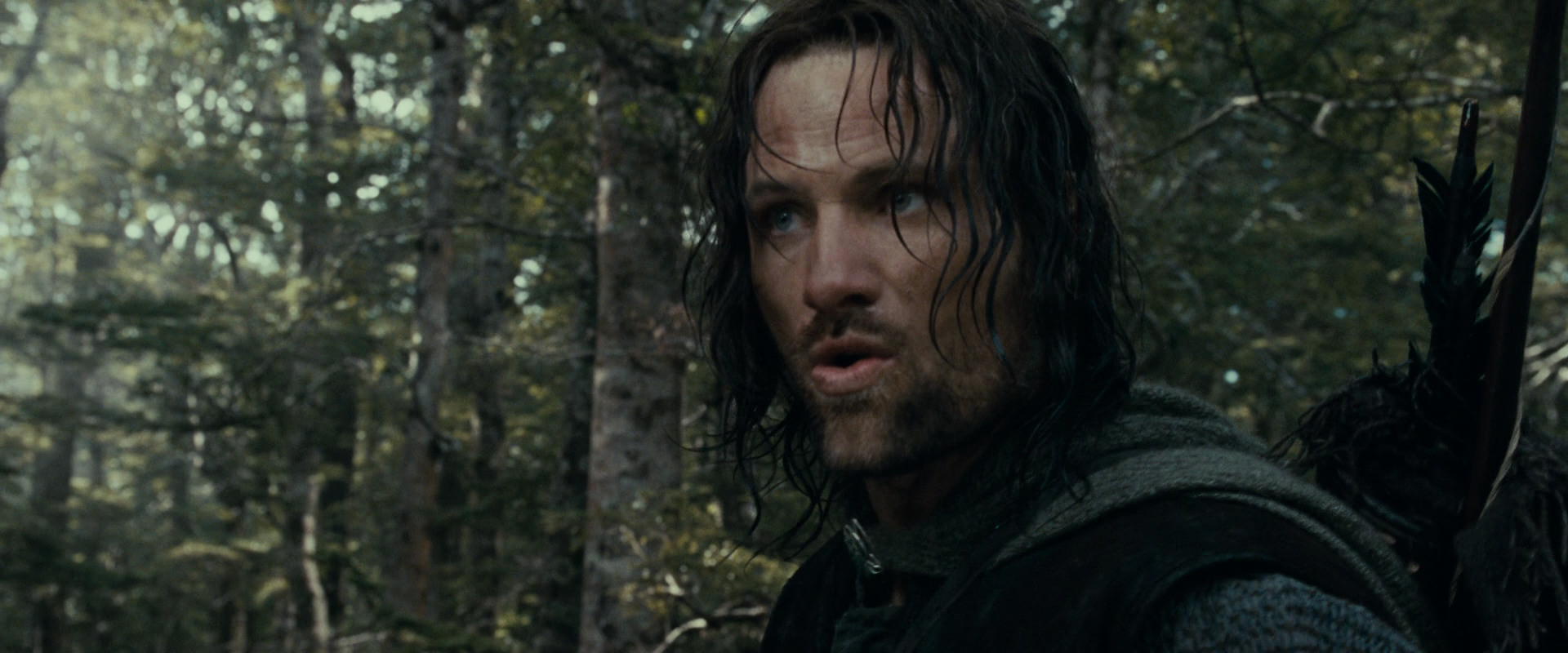 The Lord of the Rings: The Fellowship of the Ring (2001) screencap 23655
