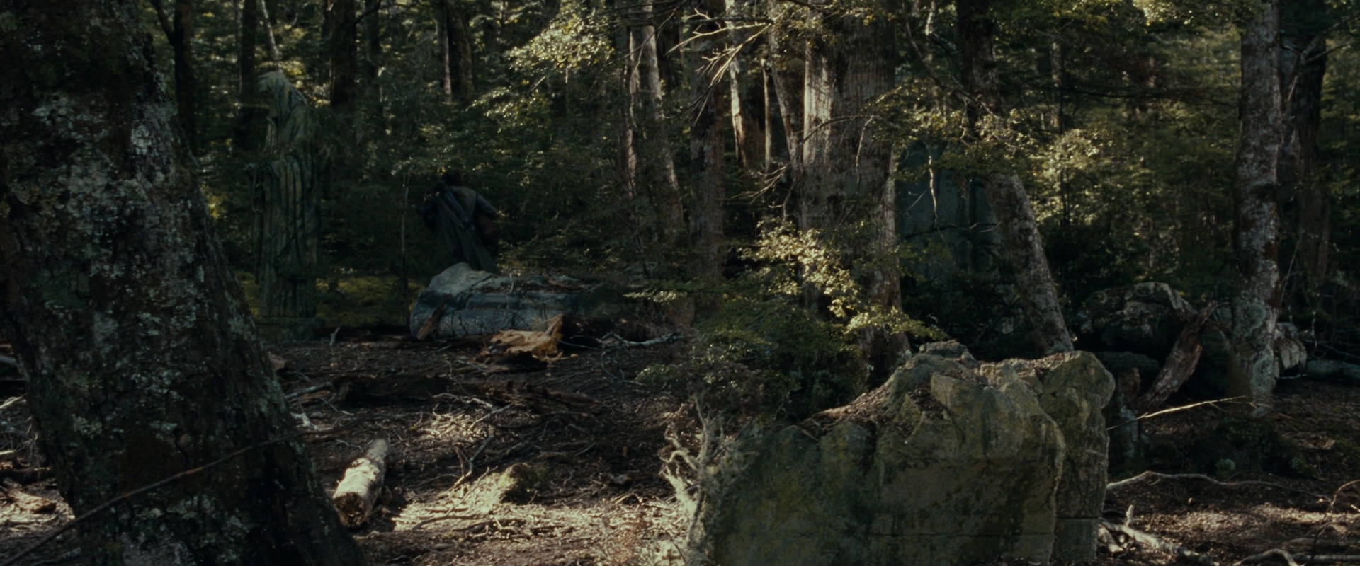 The Lord of the Rings: The Fellowship of the Ring (2001) HD screenshot 23669