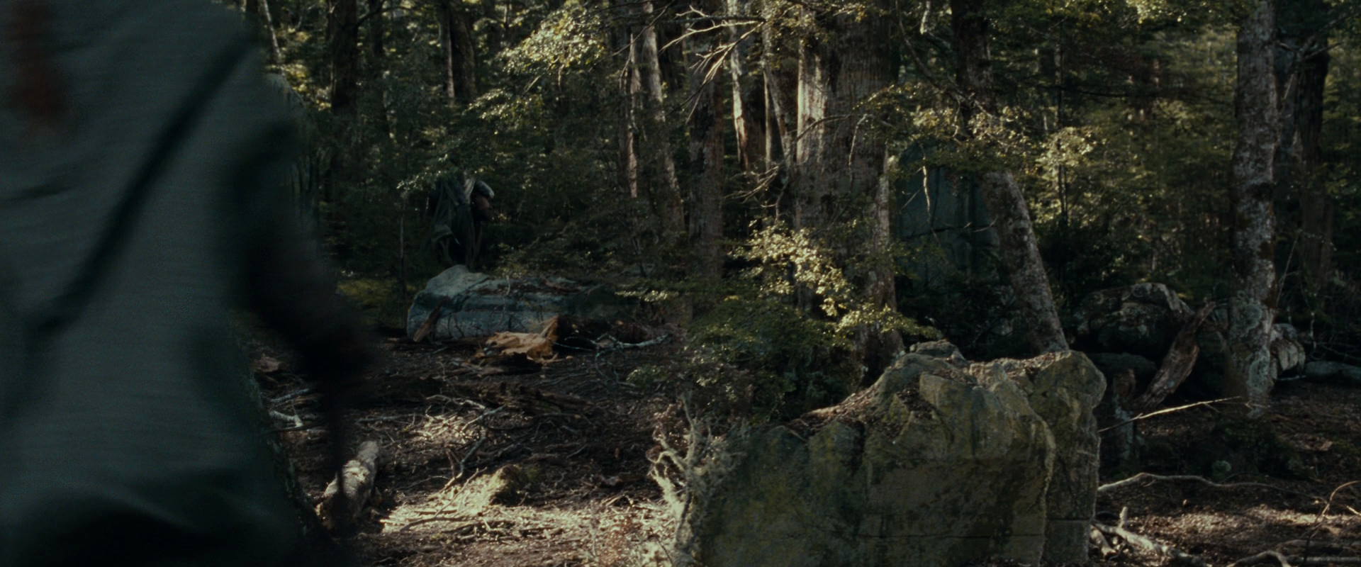 The Lord of the Rings: The Fellowship of the Ring (2001) screencap 23670