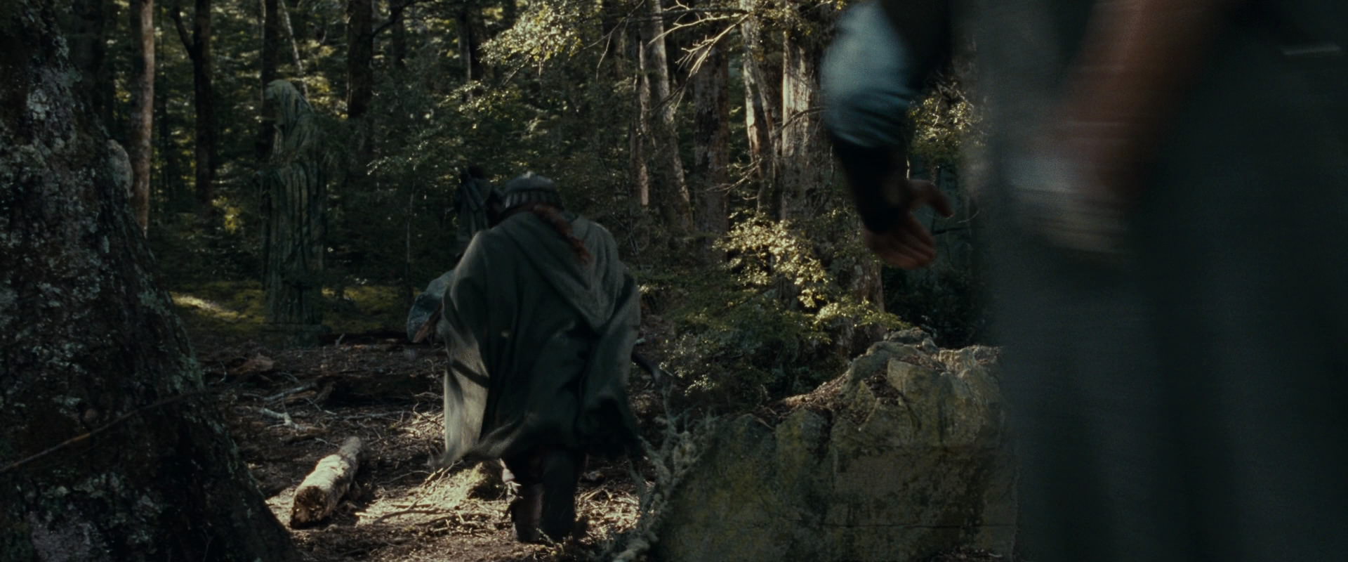 The Lord of the Rings: The Fellowship of the Ring (2001) screencap 23673