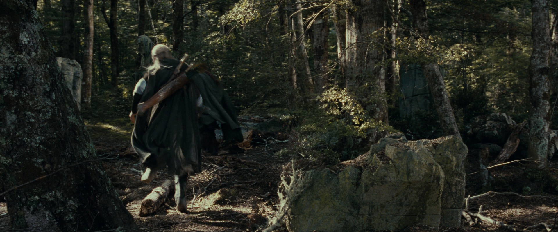 The Lord of the Rings: The Fellowship of the Ring (2001) screencap 23676