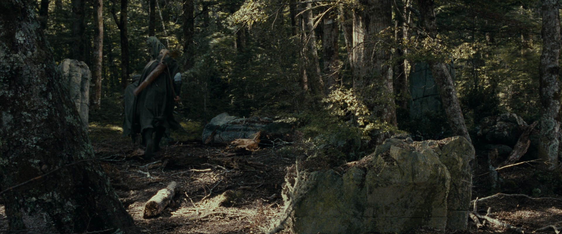 The Lord of the Rings: The Fellowship of the Ring (2001) HD screenshot 23678
