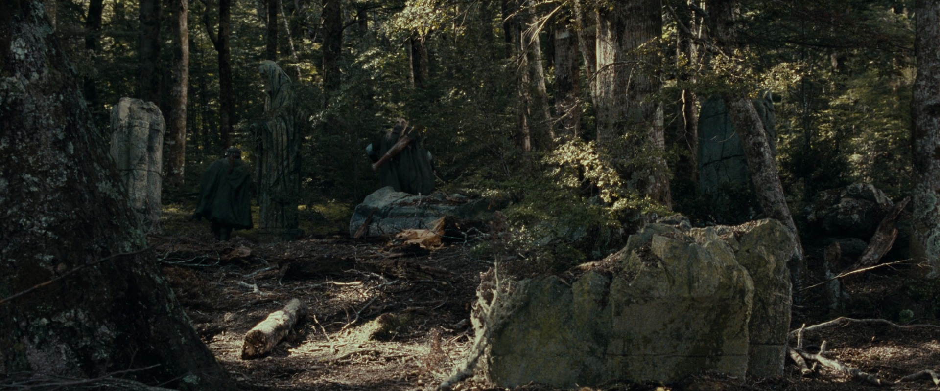 The Lord of the Rings: The Fellowship of the Ring (2001) HD screenshot 23681