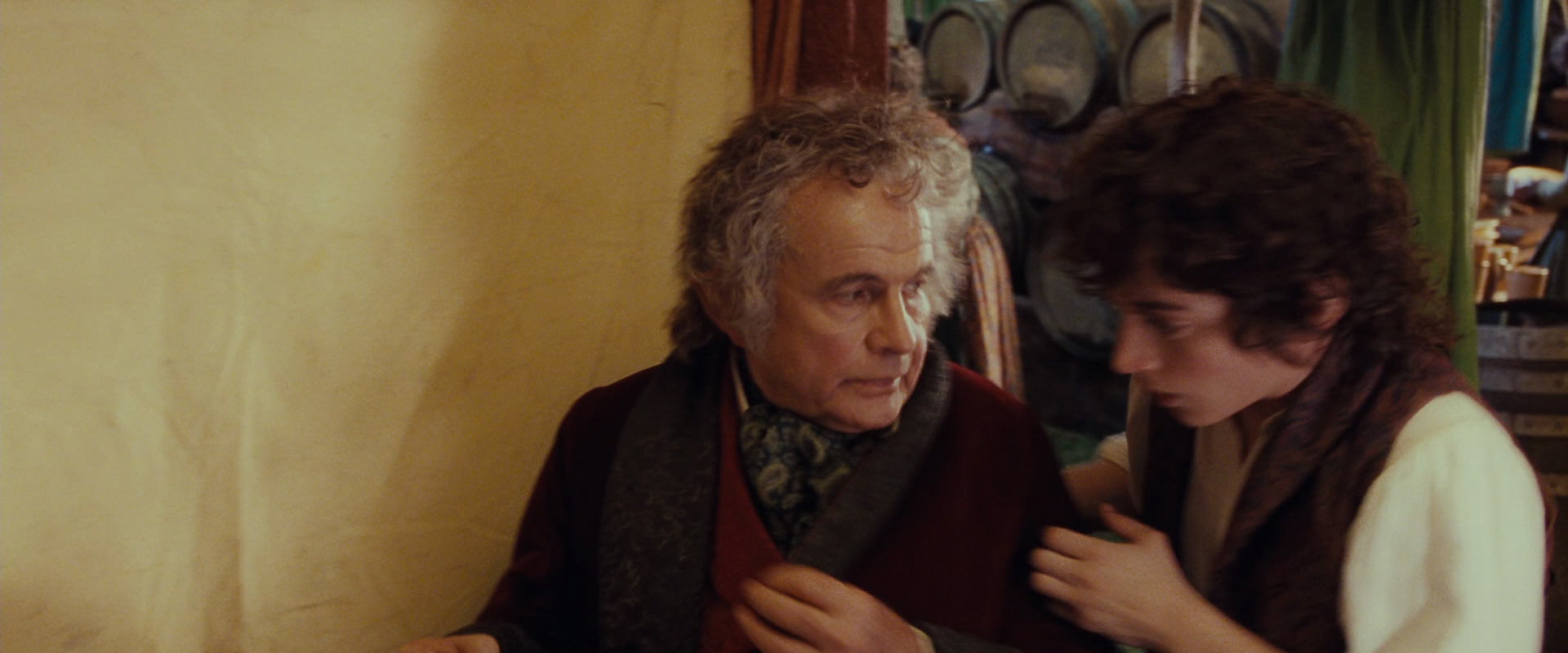 The Lord of the Rings: The Fellowship of the Ring (2001) screencap 2385