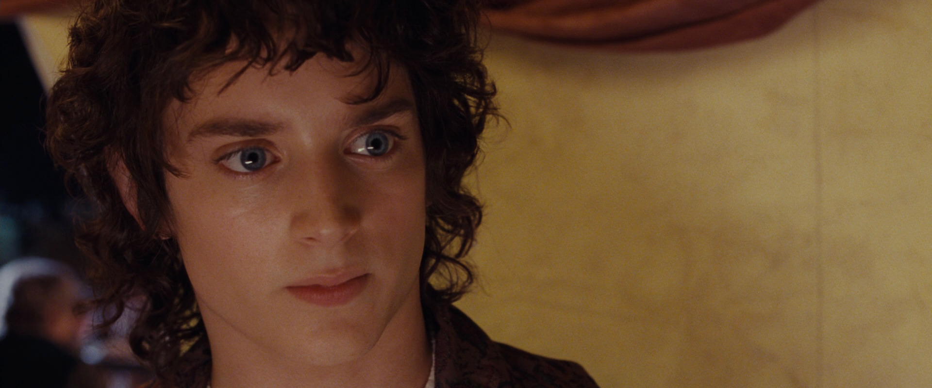 The Lord of the Rings: The Fellowship of the Ring (2001) screencap 2454